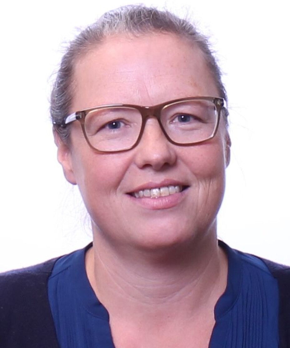 Brita Bjørkelo, professor ved Politihøgskolen. Brita Bjørkelo, professor ved Politihøgskolen.