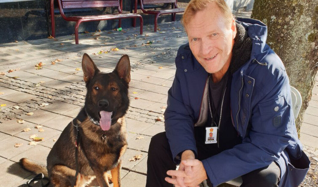 STJERNEMØTE: Her tar politihunden Kygo seg en velfortjent pause i filminnspillingen sammen med skuespiller Sven Nordin, som har hovedrollen i TV-serien Wisting. STJERNEMØTE: Her tar politihunden Kygo seg en velfortjent pause i filminnspillingen sammen med skuespiller Sven Nordin, som har hovedrollen i TV-serien Wisting.