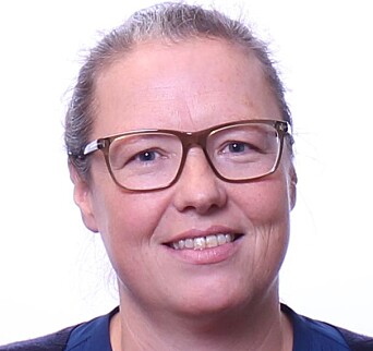 Brita Bjørkelo, professor ved Politihøgskolen. Brita Bjørkelo, professor ved Politihøgskolen.