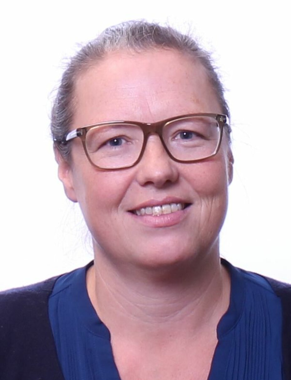 PROFESSOR: Brita Bjørkelo fra Politihøgskolen.