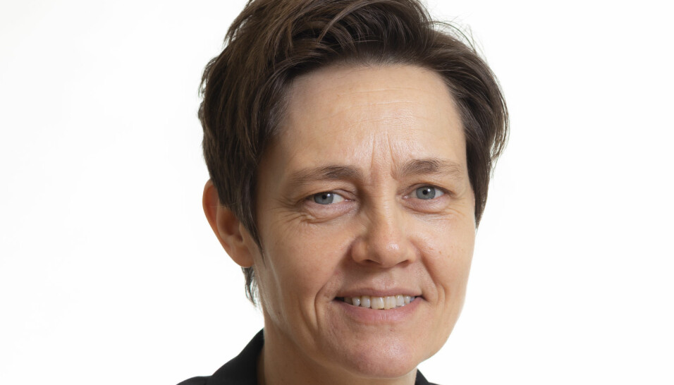 Monica Seem, avdelingsdirektør for arbeidsmiljø og regelverk i Arbeidstilsynet.