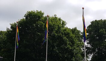 Regnbueflaggene henger også utenfor politihuset på Grønland i Oslo. Regnbueflaggene henger også utenfor politihuset på Grønland i Oslo.