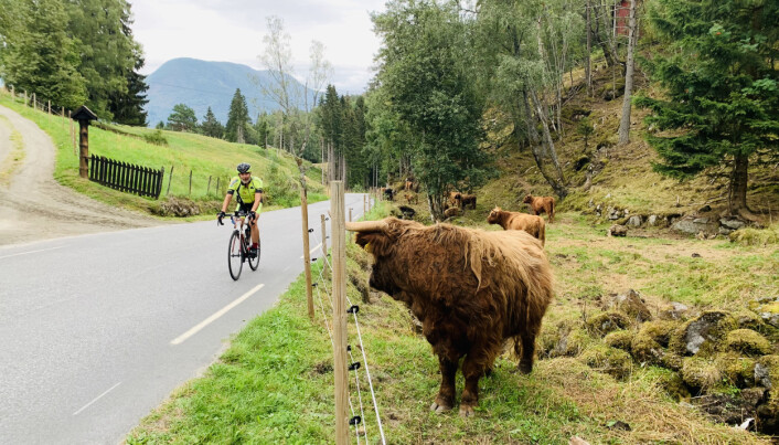 Arne Johannessen syklet til sammen 46 turer opp og ned Solvorn og tilbakela 274 kilometer på sykkel. Arne Johannessen syklet til sammen 46 turer opp og ned Solvorn og tilbakela 274 kilometer på sykkel.