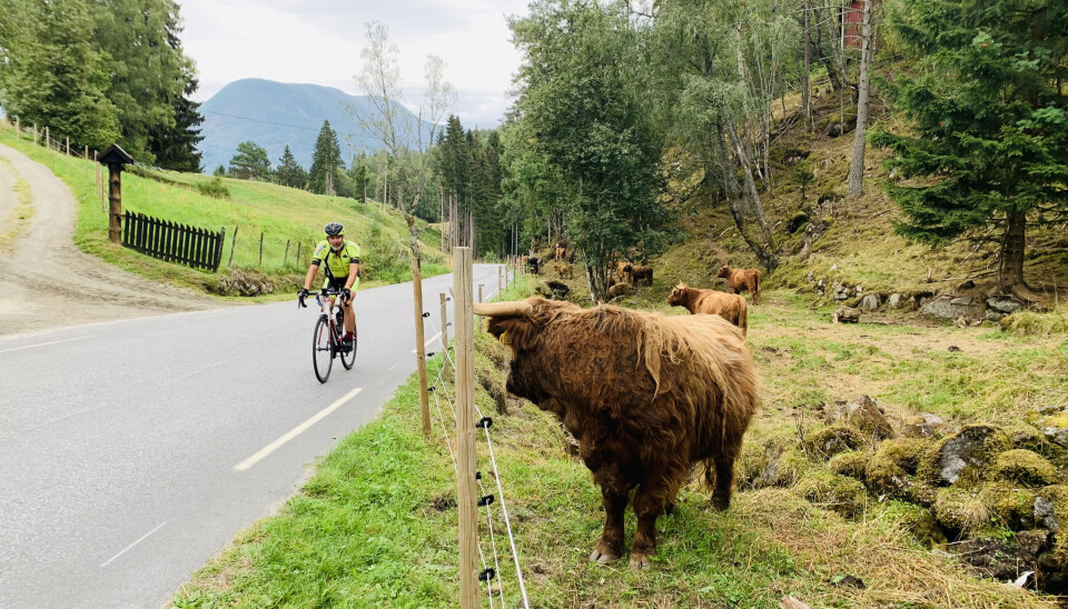 Arne Johannessen syklet til sammen 46 turer opp og ned Solvorn og tilbakela 274 kilometer på sykkel.