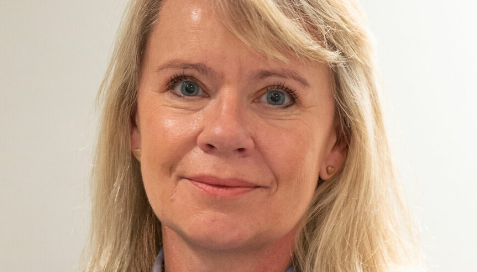 UNNSKYLDER: Politimester Ida Melbo Øystese i Øst politidistrikt.