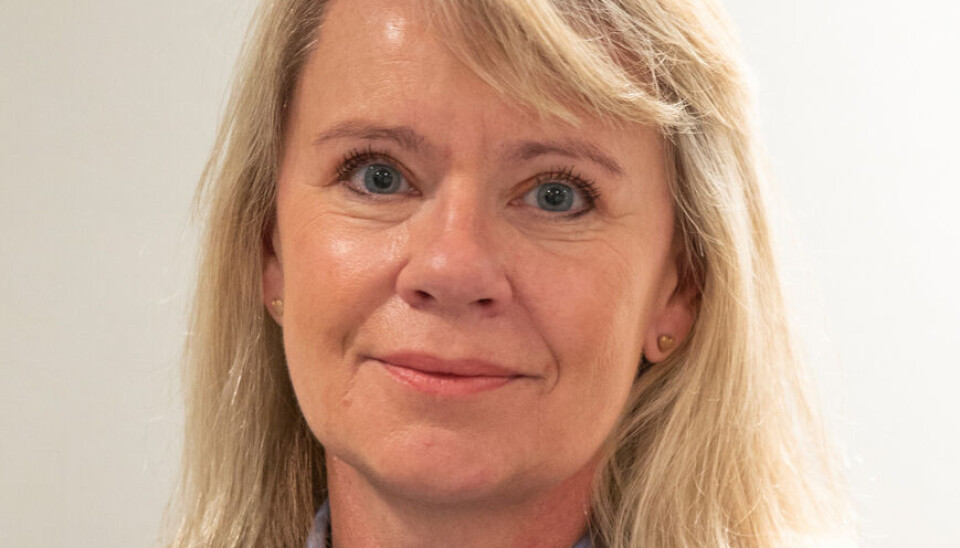 UNNSKYLDER: Politimester Ida Melbo Øystese i Øst politidistrikt. UNNSKYLDER: Politimester Ida Melbo Øystese i Øst politidistrikt.