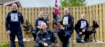 Norske politihunder ble nordiske mestre