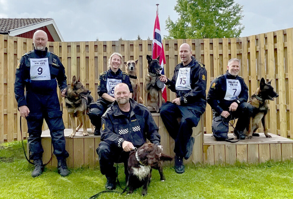 VINNERSNUTER: Med dette vinnerlaget dro Norge hjem seieren i det nordiske mesterskapet. Bak fra venstre: Bjarne Stallemo med Daklas, Elisabeth Eidsvik med Chili, Øyvind Kjetland med Rocky og Gunnar Børresen med Ponti. Foran fra venstre: Magne Gundersen med Bruno.