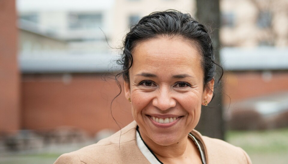 Noe må gjøres med ungdomskriminaliteten!
