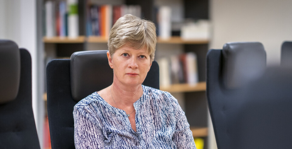 Hallgren: Avviser profesjonskamp