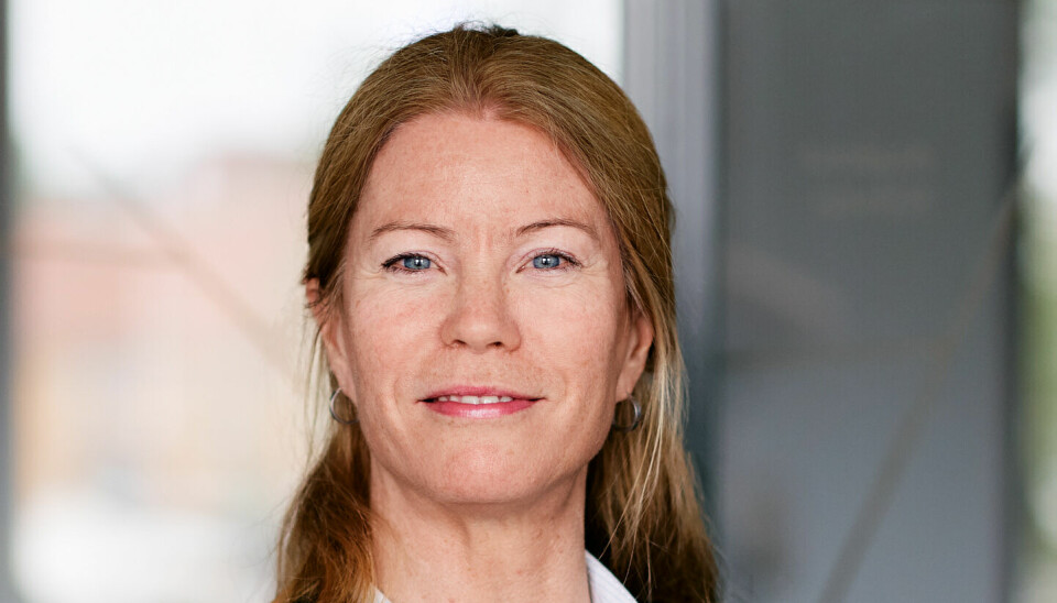 Anne Kamilla Silseth (49) er ny leder av Gjenopptakelseskommisjonen