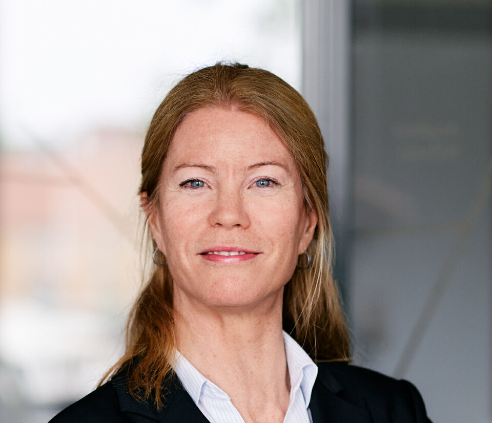 Advokat Anne Kamilla Silseth (49) er ny leder av Gjenopptakelses-kommisjonen