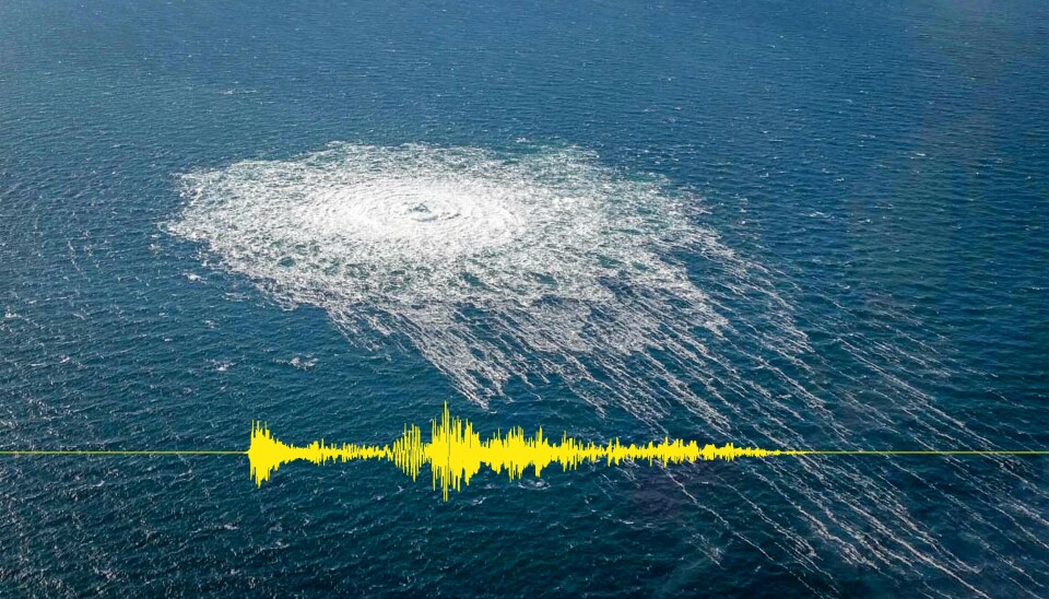 SABOTASJE: Da det 26. september kom meldinger om lekkasje fra gassrørledningene Nord Stream 1 og 2, og deretter at det dreide seg om sabotasje, gikk alarmen også i Norge. Her flyfoto av gasslekkasjen, med de seismiske målingene fra eksplosjonene i gult, slik disse ble målt av Norsar. SABOTASJE: Da det 26. september kom meldinger om lekkasje fra gassrørledningene Nord Stream 1 og 2, og deretter at det dreide seg om sabotasje, gikk alarmen også i Norge. Her flyfoto av gasslekkasjen, med de seismiske målingene fra eksplosjonene i gult, slik disse ble målt av Norsar.