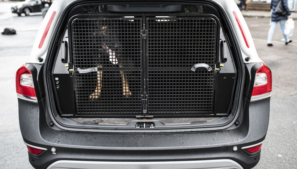 Mann bitt av politihund i Moss - anmelder politiet