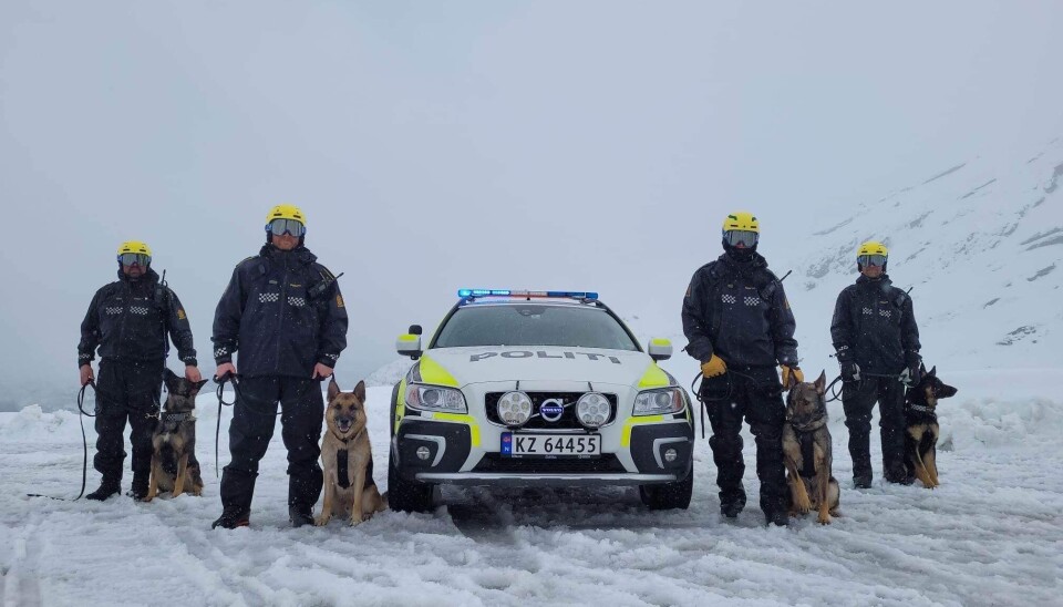 STOLTE: De firbente stilte seg opp for et seiersbilde etter bestått prøve. Politibetjentene (og stolte eiere) er fra Lillehammer, Hamar og Gjøvik. Morten Norland er nummer fire fra venstre med hunden Hunter. STOLTE: De firbente stilte seg opp for et seiersbilde etter bestått prøve. Politibetjentene (og stolte eiere) er fra Lillehammer, Hamar og Gjøvik. Morten Norland er nummer fire fra venstre med hunden Hunter.