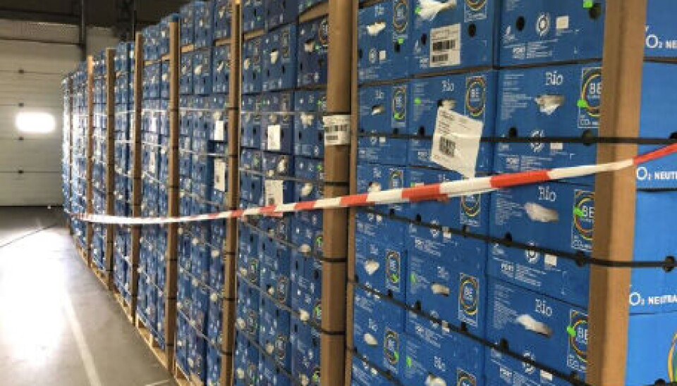 Tysk politi har beslaglagt mer enn 1200 kilo kokain. Etter beslaget tipset de politiet og tollmyndigheter i Oslo som beslagla 800 kilo kokain i Oslo. Tysk politi har beslaglagt mer enn 1200 kilo kokain. Etter beslaget tipset de politiet og tollmyndigheter i Oslo som beslagla 800 kilo kokain i Oslo.