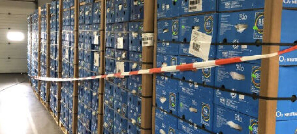 Norgeshistoriens største kokainbeslag gjort i fruktkasser etter tips fra Tyskland