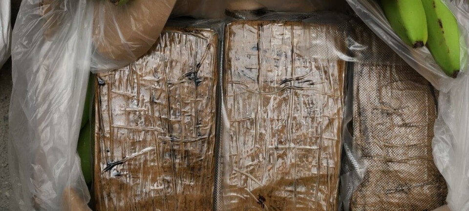 Ingen pågrepet etter kokainbeslag