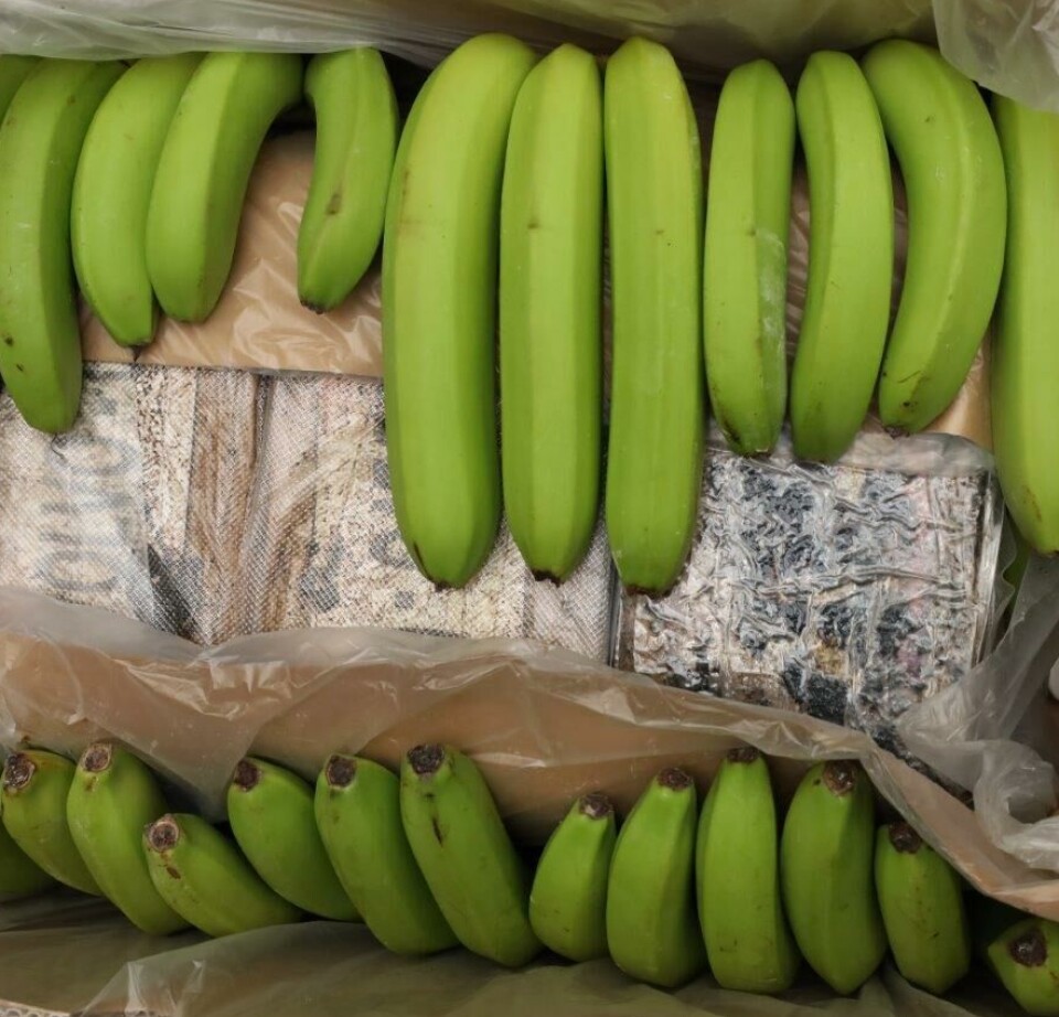Ingen pågrepet etter kokainbeslag