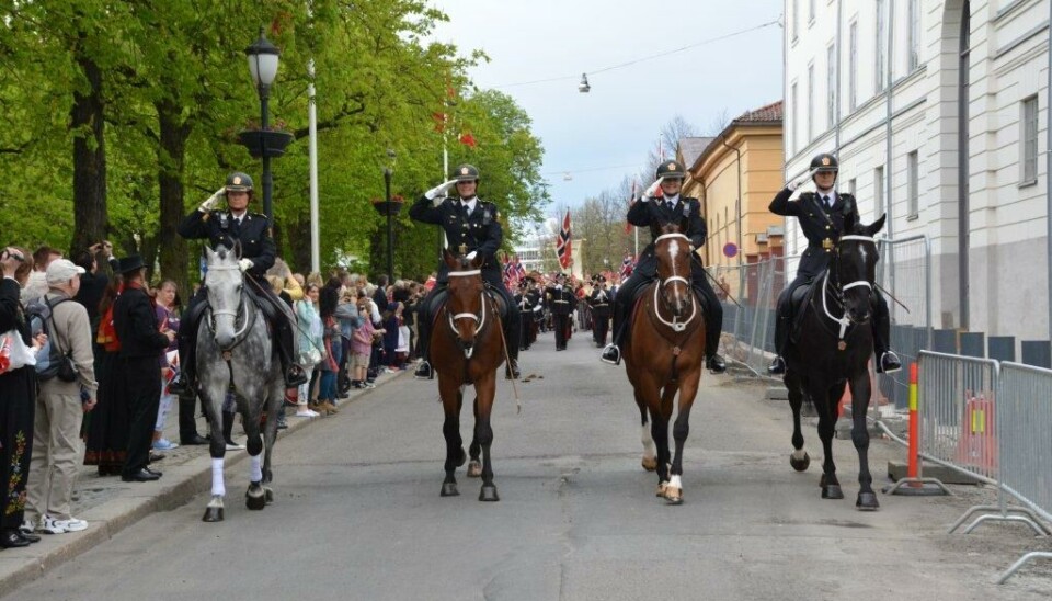 Slipper kutt i Rytterkorpset