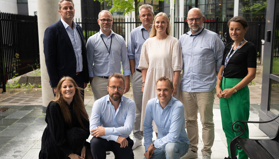 SKAL DELTA: Fra PST kommer blant annet øverst f.v.: Lars W. Lilleby, Helge Mehus, Eirik Veum, Pia Helene Myrvold, Knut Svenungsen, Inger Haugland, Sigrid Årlid, Viggo Rekdal og Martin Bernsen.