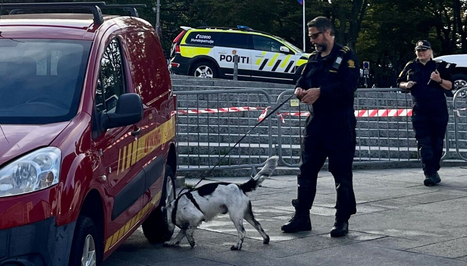 SØKER: Petter Lillemo med Luger under bilsøk på Torget i Stavanger.