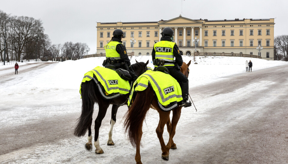 HEST ER BEST: Rytterkorpsets nye kollegaer kan ikke drive med unoter i form av steiling, bukking eller luftsluking. – Ridbarhet er også viktig, sier politioverbetjent Åsta Marie Lytskjold, som er fagansvarlig hest i Oslo politidistrikt.