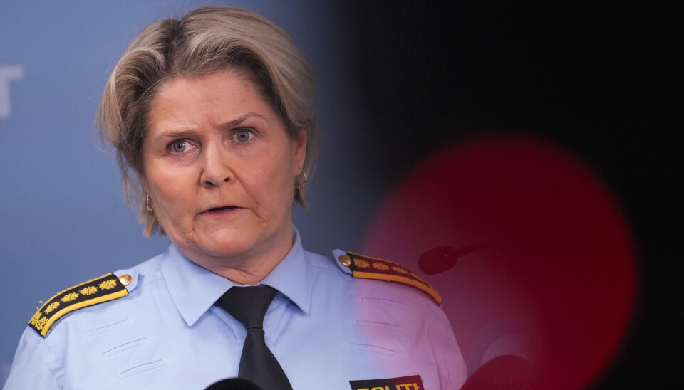 PRESSEKONFERANSE TORSDAG: Politiinspektør Grete Lien Metlid informerer om drapene i Nes