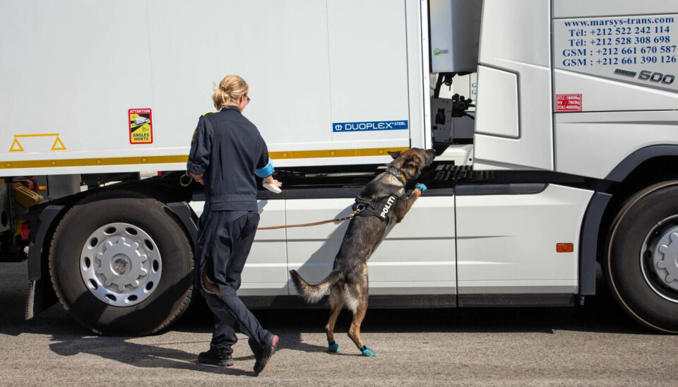 Bildet er tatt i en annen sammenheng, hvor en norsk Frontex-medarbeider og hund er i tjeneste.