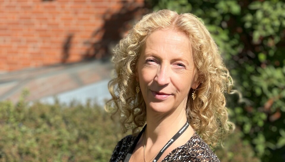 POSITIVT: Stortingsmeldingen er et steg i riktig retning sier politiinspektøren. Hun er spent på hvordan tiltakene til slutt blir seende ut etter videre saksbehandling.