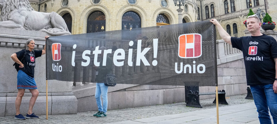 Hva streiker politifolka for?