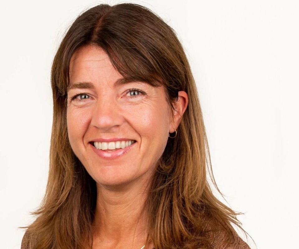 Hild Rønning, førsteamanuensis ved Politihøgskolen i Bodø.