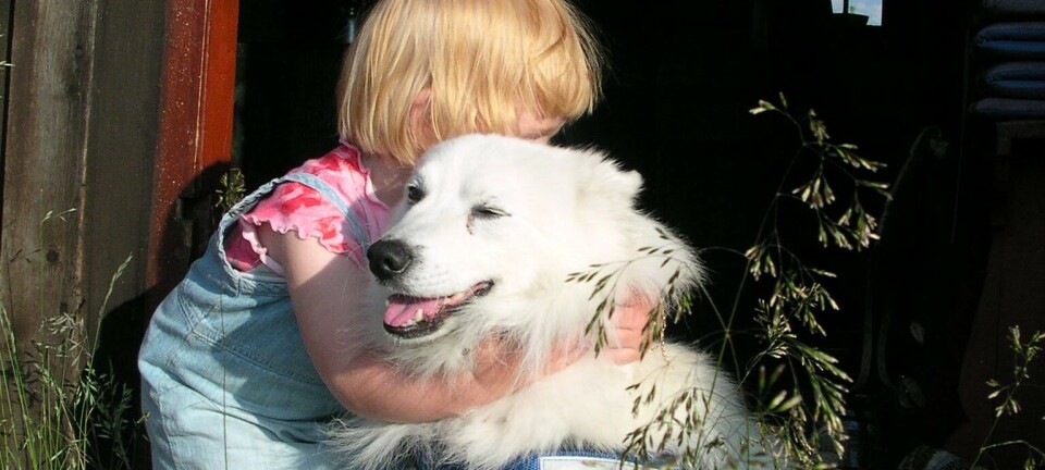 Drømmen om en hund