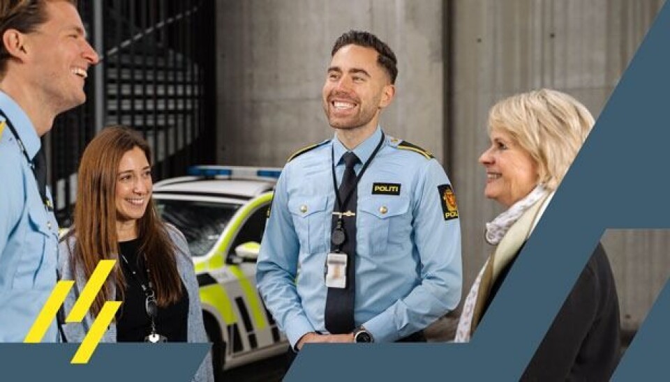 Seksjonsleder for operativ seksjon med funksjon som stabssjef