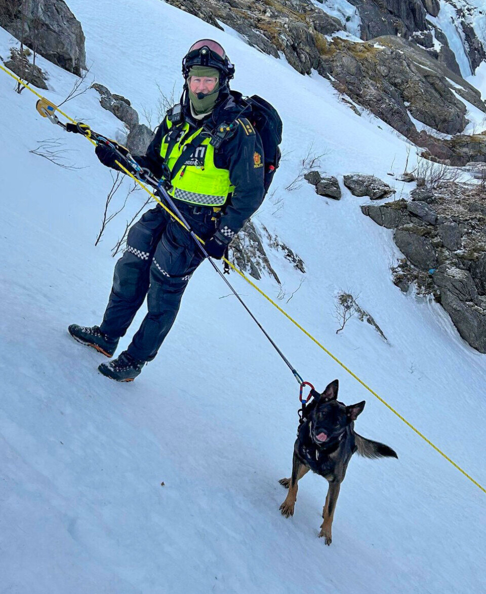 SKRÅPLAN: Kjell Johnsen og hunden
hans rapellerer ned skråningen på
starten av dagen. Hellingen var så
bratt at hunden hadde problemer
med å holde seg oppreist, og selv
valgte å rygge nedover.