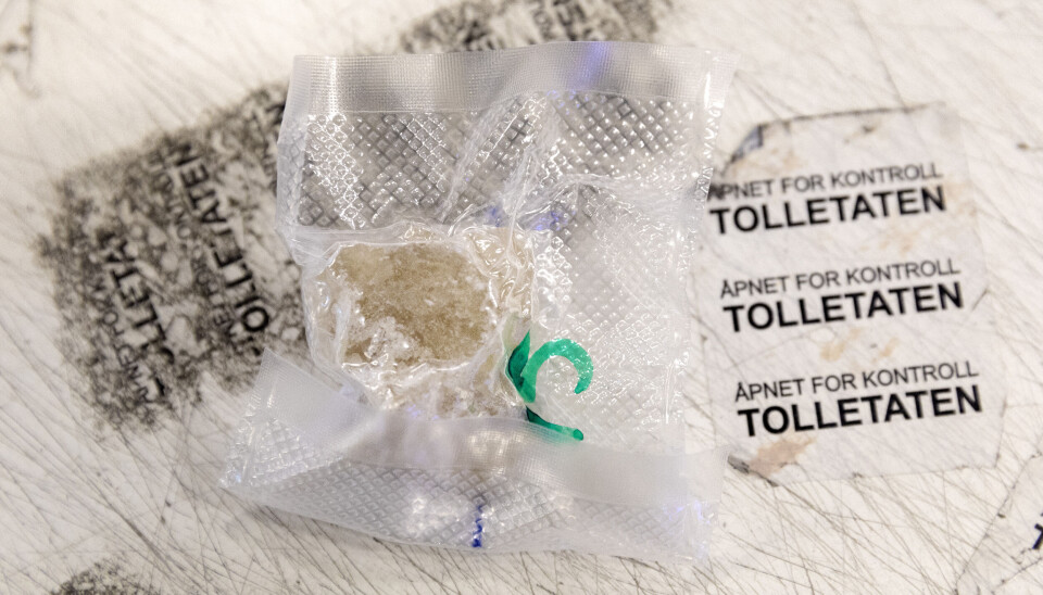 MDMA er virkestoffet i partydopet ecstasy, her fra et tollbeslag på Postens Østlandsterminal på Lørenskog.
