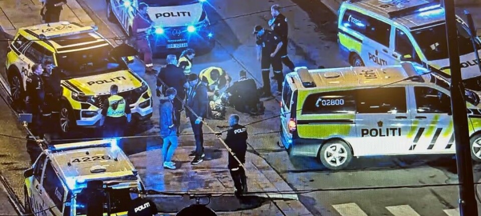 «Det er vanskelig å forstå hvorfor straffen blir så lav for å slå en politimann i hodet med stein»