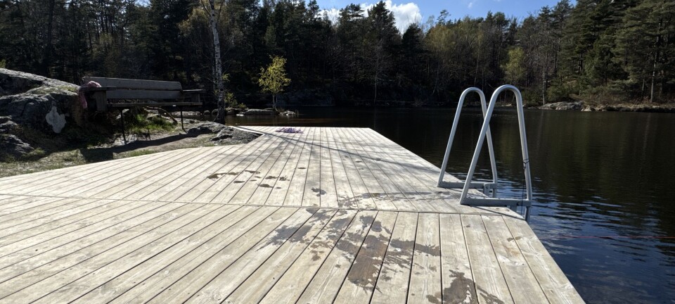 «Siste runde om skyld i Baneheia»