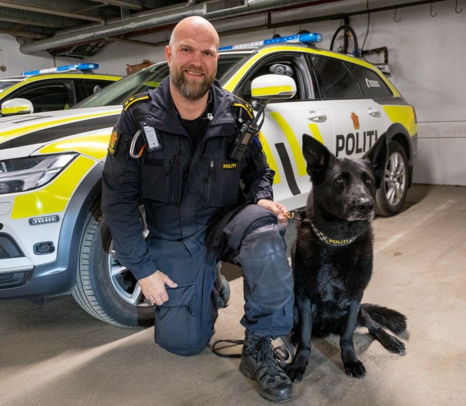 TOSPANN: Rune Grimstad og Lego har reist opp fra Østfold for å bidra
under kamp. – Jeg må si at Nordland PD tar oss veldig godt imot, skryter
hundeføreren.