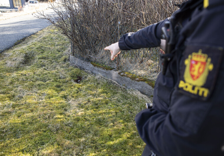 RYGGDEKNING: Under angrepet rygget Aleksander bakover, helt til han stanset i dette gjerdet. Der ble også gjerningsmannen overmannet.