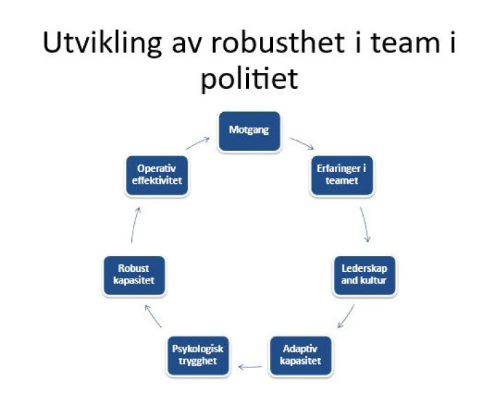 «Å møte motgang sammen i politiet»