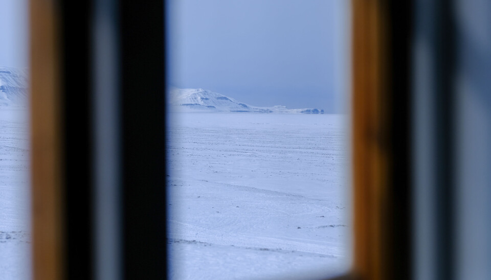 Første morgen på hytta tuslet det to isbjørner forbi. Det var heldigvis eneste opplevelse av rovdyret på nært hold i løpet av oppholdet.