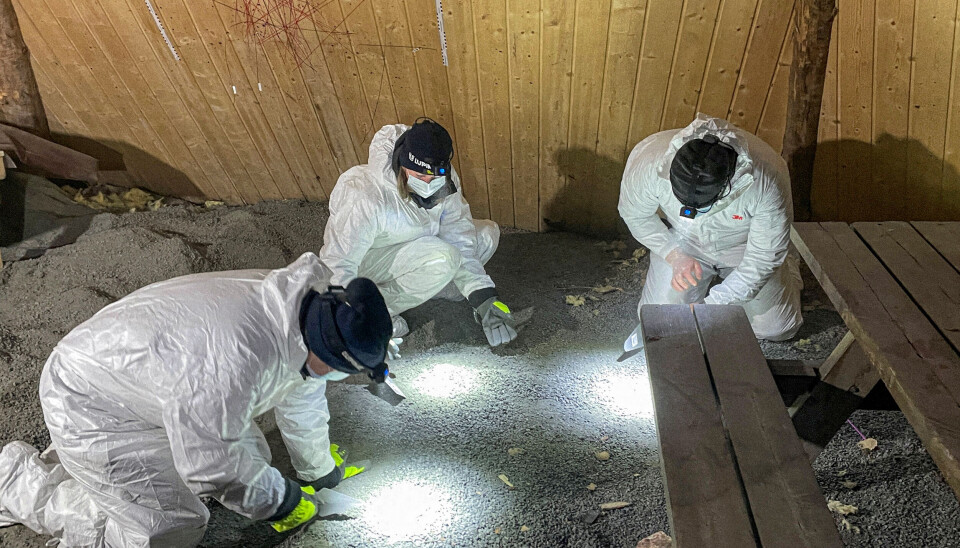 LAVVO-DRAPET: En lavvo på Løten ble åsted for et brutalt drap. Her søker krimteknikerne etter sporene som kunne forklare det makabre hendelsesforløpet.