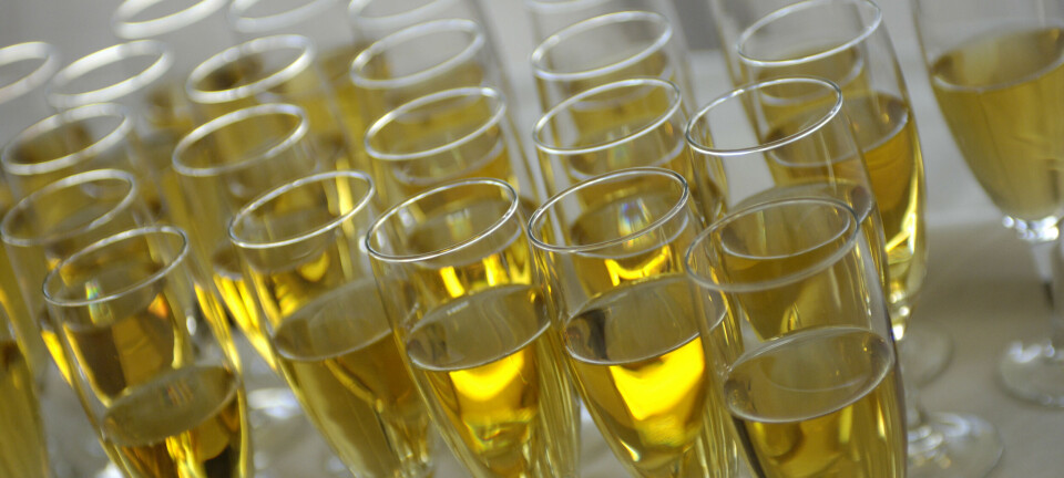 «Vil ikke ha rus i politiet - men hva med julebordet?»