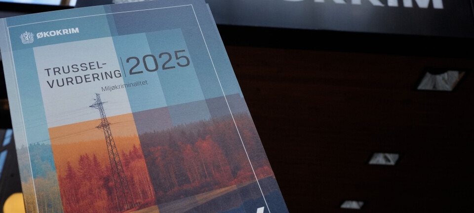 Økokrim: Kriminelle kan tjene stort på miljøkriminalitet