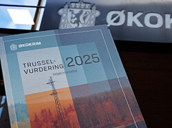 Økokrim: Kriminelle kan tjene stort på miljøkriminalitet