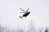 Svart og hvitt politihelikopter flyr over nakne tretopper mot lys himmel.