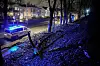 Politibil med blålys ved nedblåst tre langs Parkveien i Oslo om natten.